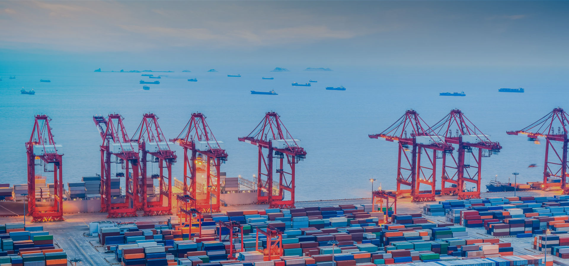 跨境电商物流专家